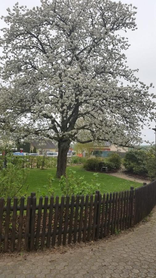 Ferienwohnung Vergissmeinnicht Osburg Esterno foto